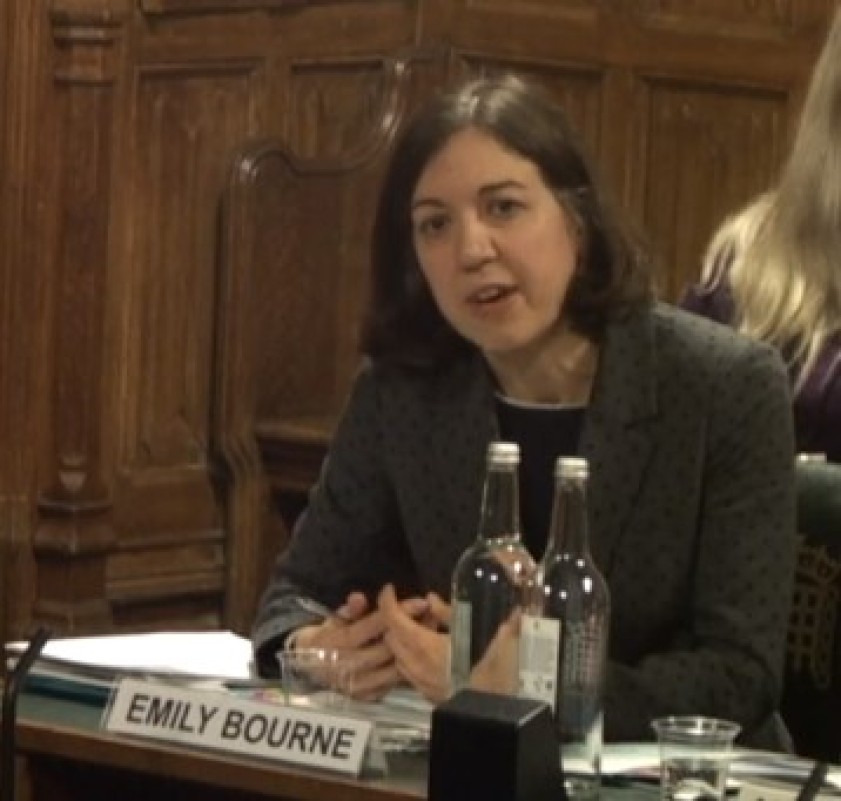 Emily Bourne giving evidence to the Public Accounts Committee, 11 February 2019. Photo: Parliament TV
